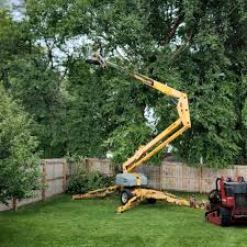 Best Sod Installation  in Cedar Grove, WI