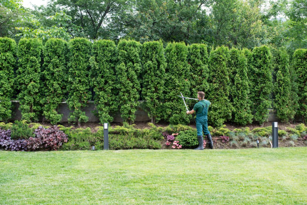 Best Artificial Turf Installation  in Cedar Grove, WI